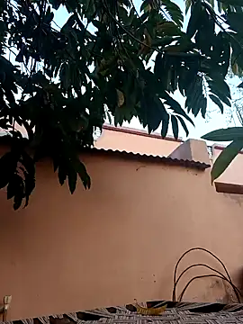 carria homes online show from January 28, 12:43 pm