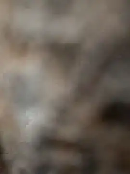 Snapshot of mksharma-mastlund chatting on January 24, 4:05 am mksharma-mastlund online show from January 24, 4:05 am