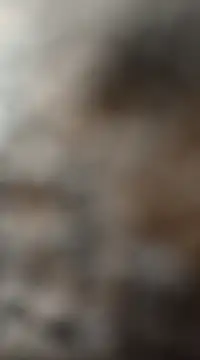 Snapshot of mksharma-mastlund chatting on January 27, 3:47 am mksharma-mastlund online show from January 27, 3:47 am