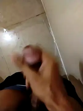 Kingxey online show from January 31, 8:54 am