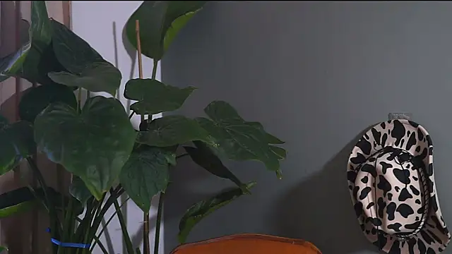 Snapshot of HairyRobxxx chatting on September 20, 10:05 am HairyRobxxx online show from September 20, 10:05 am