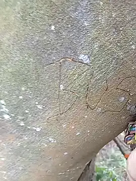 BELLA--26 online show from February 2, 3:07 pm