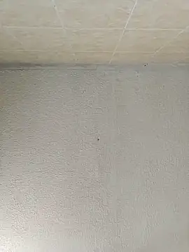 boobsTaylor online show from September 21, 6:53 pm