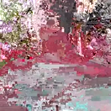 Snapshot of Kaizer1 chatting on October 26, 4:51 am Kaizer1 online show from October 26, 4:51 am