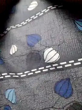 tamilpaiyan25 online show from January 9, 3:04 am