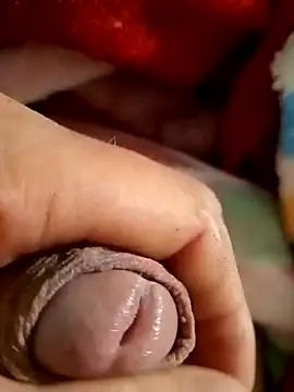 mmarvis za78 93 21cm online show from February 9, 2:38 am