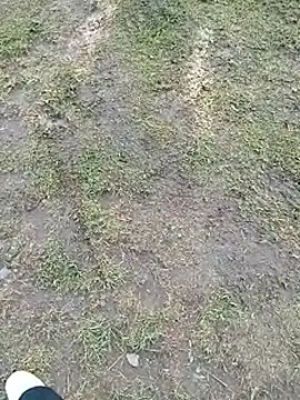 mmarvis za78 93 21cm online show from June 10, 1:10 pm