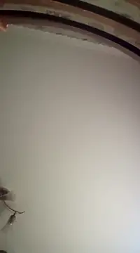 Snapshot of Lauren_Amabel chatting on March 16, 7:04 am Lauren Amabel online show from March 16, 7:04 am