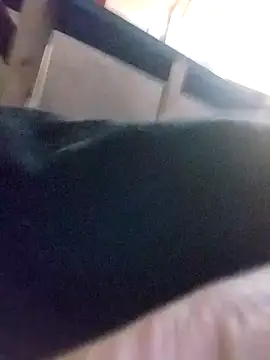 Snapshot of jayjay198080 chatting on January 8, 8:29 pm jayjay198080 online show from January 8, 8:29 pm