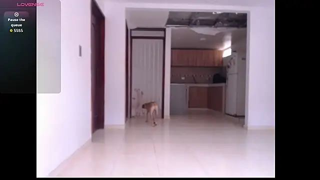 leslycarsson online show from October 7, 7:11 pm