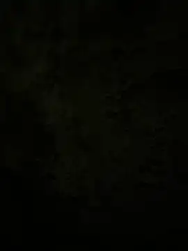 Lilymoonshow online show from February 17, 2:31 am