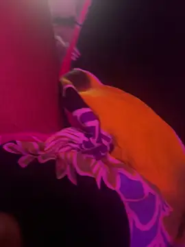 Lilymoonshow online show from March 17, 7:02 am