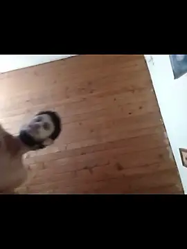 Snapshot of nxus77 chatting on December 15, 6:39 am nxus77 online show from December 15, 6:39 am