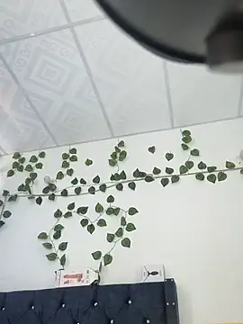 Snapshot of miaa--pervert chatting on January 15, 1:20 pm miaa--pervert online show from January 15, 1:20 pm