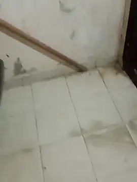 Snapshot of Jinenez chatting on February 26, 8:37 am Jinenez online show from February 26, 8:37 am