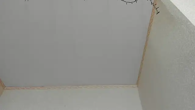 Browni Kiss online show from January 16, 7:49 am