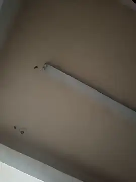 Snapshot of boyvergon chatting on January 17, 6:36 am boyvergon online show from January 17, 6:36 am