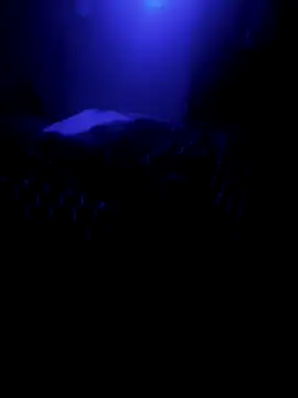 Raziv komal143 online show from February 26, 12:16 am