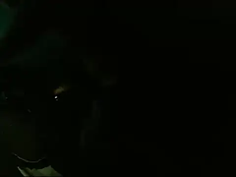 Snapshot of Lliam_2 chatting on January 20, 6:31 am Lliam 2 online show from January 20, 6:31 am