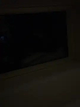 Snapshot of wyattstone chatting on February 20, 4:20 am wyattstone online show from February 20, 4:20 am