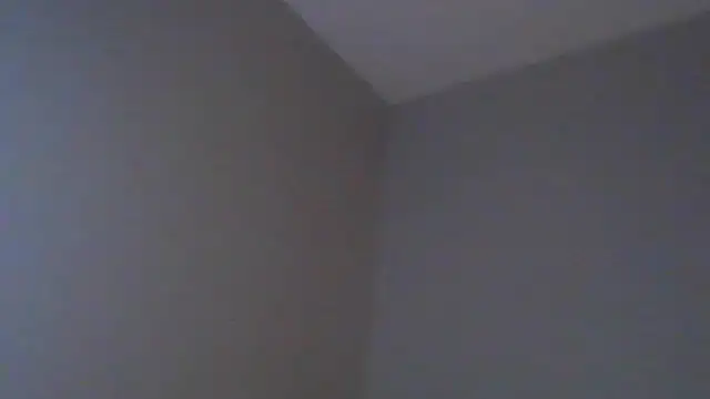 geld 88 online show from March 12, 3:57 am