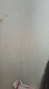 Snapshot of novinhatransexy chatting on February 11, 6:01 pm novinhatransexy online show from February 11, 6:01 pm