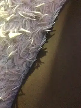 staroill online show from February 20, 11:42 am