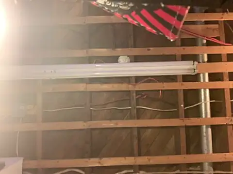 Pilote19 online show from April 23, 7:16 pm