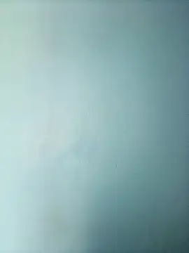 randit7 online show from March 1, 6:35 am