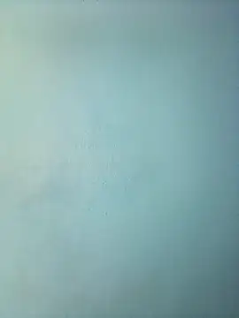 randit7 online show from March 12, 11:53 am