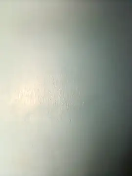 randit7 online show from March 14, 8:10 am