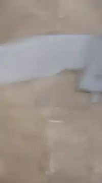 laxmitelugu78 online show from February 2, 7:25 pm