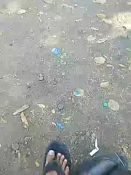 Playboy bhabhi 00 online show from February 20, 10:27 am