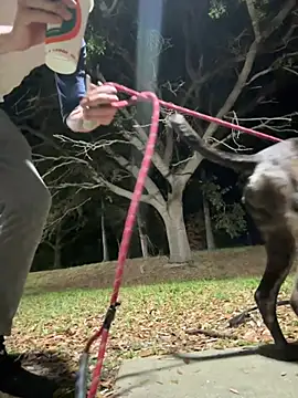 Snapshot of sexyhotstud12 chatting on February 18, 4:26 am sexyhotstud12 online show from February 18, 4:26 am