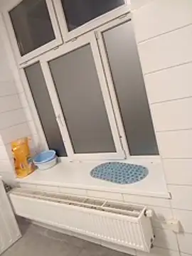 Adrianka online show from November 12, 1:39 am