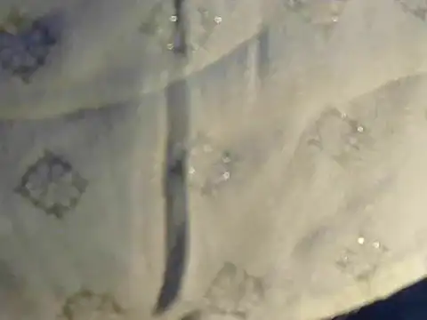 Snapshot of Cutie_Pie1p chatting on March 19, 8:34 am Cutie Pie1p online show from March 19, 8:34 am