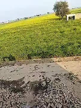 xmanrawan2 online show from February 2, 10:57 am