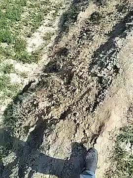 xmanrawan2 online show from February 4, 7:29 am