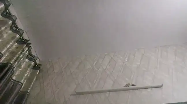 Snapshot of SeductiveStar chatting on February 23, 8:28 am SeductiveStar online show from February 23, 8:28 am