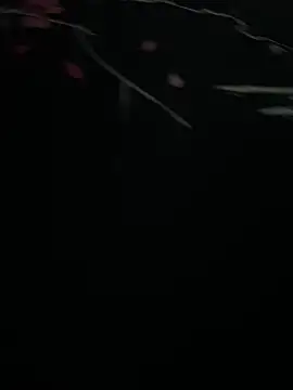 Mo 2003 online show from January 28, 8:04 pm