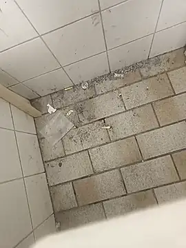 wadmma online show from November 19, 8:47 am