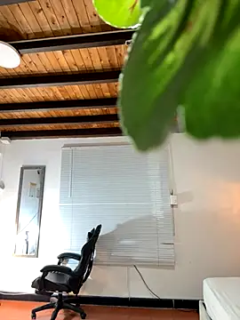 Snapshot of Hadley_ chatting on December 3, 3:14 am Hadley online show from December 3, 3:14 am