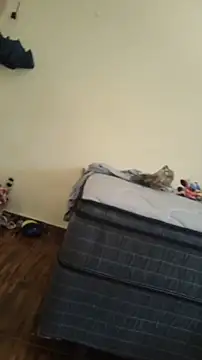 Snapshot of JapeDoBryan chatting on May 16, 6:28 pm JapeDoBryan online show from May 16, 6:28 pm