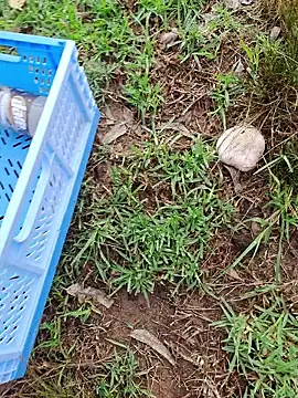 RichardHard 1 online show from January 17, 9:07 pm