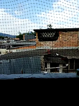 Snapshot of Niick01_ chatting on November 9, 8:40 pm Niick01 online show from November 9, 8:40 pm