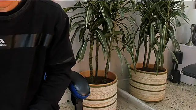 roan birkin online show from April 21, 7:28 pm