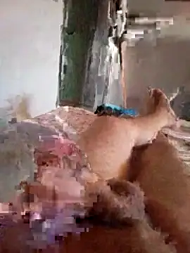 Snapshot of Zaberpop chatting on April 9, 3:50 pm Zaberpop online show from April 9, 3:50 pm