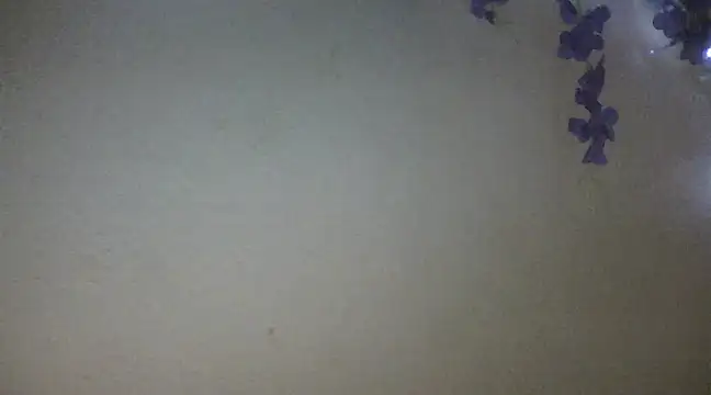 xxsexycutexxx online show from February 18, 6:04 pm