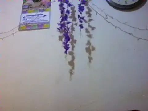 xxsexycutexxx online show from March 3, 2:04 pm