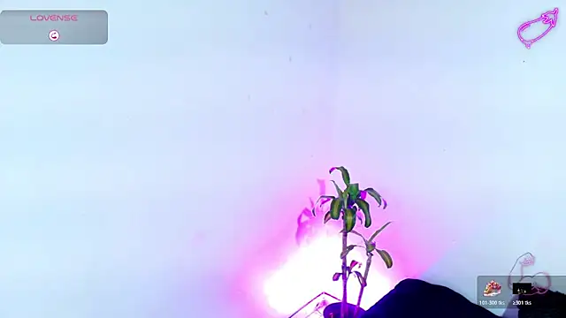 7 Saturno 7 online show from March 20, 3:39 pm